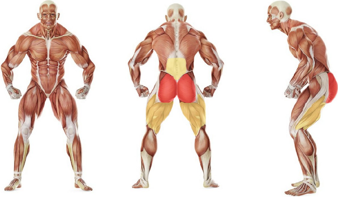 What muscles work in the exercise One Knee To Chest