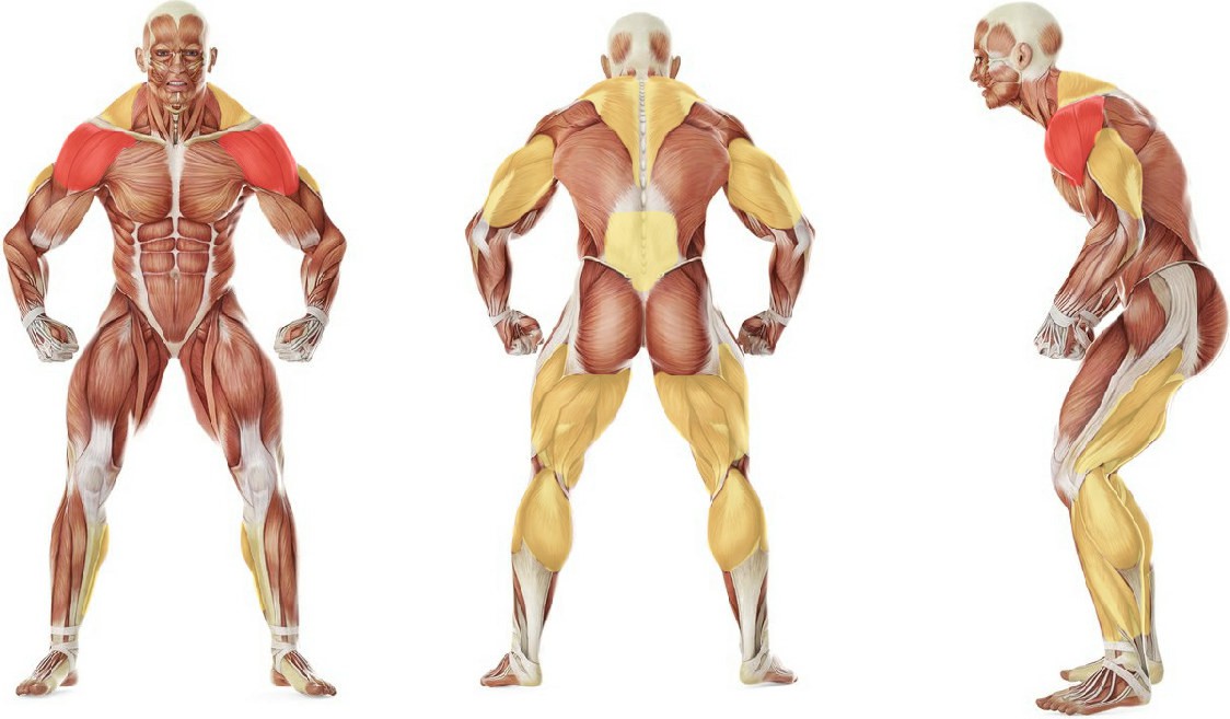 What muscles work in the exercise One-Arm Kettlebell Snatch