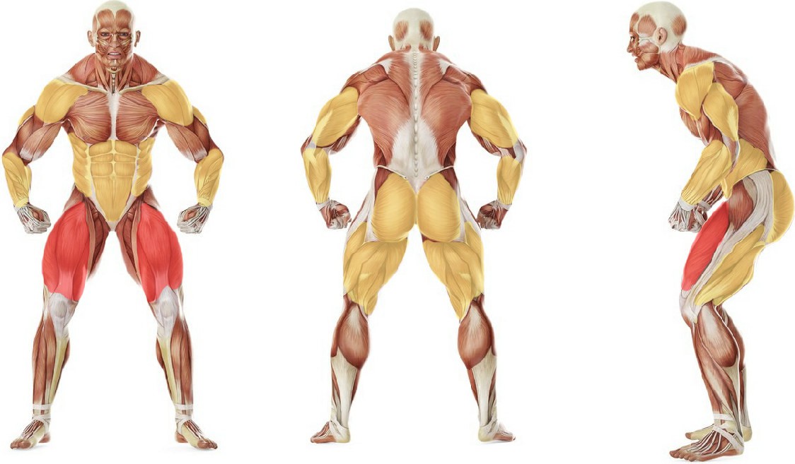 What muscles work in the exercise Heaving Snatch Balance