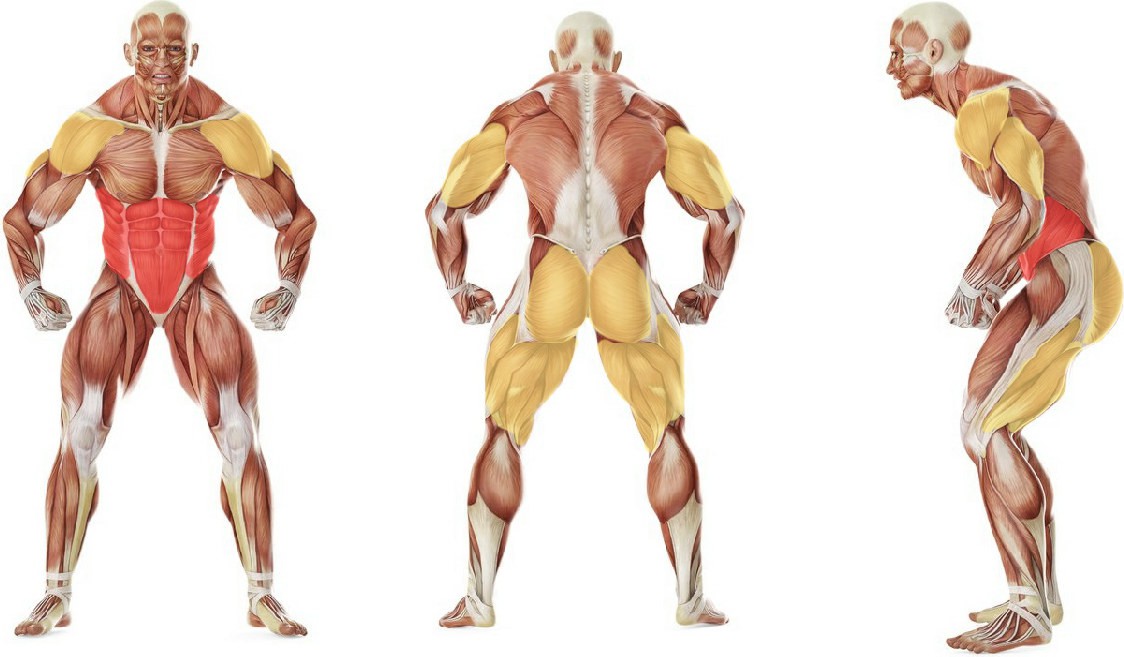 What muscles work in the exercise Kettlebell Windmill