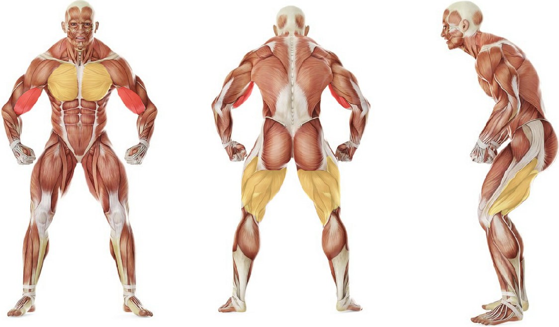What muscles work in the exercise КЭСА-ГАТАМЭ (Удержание с боку)