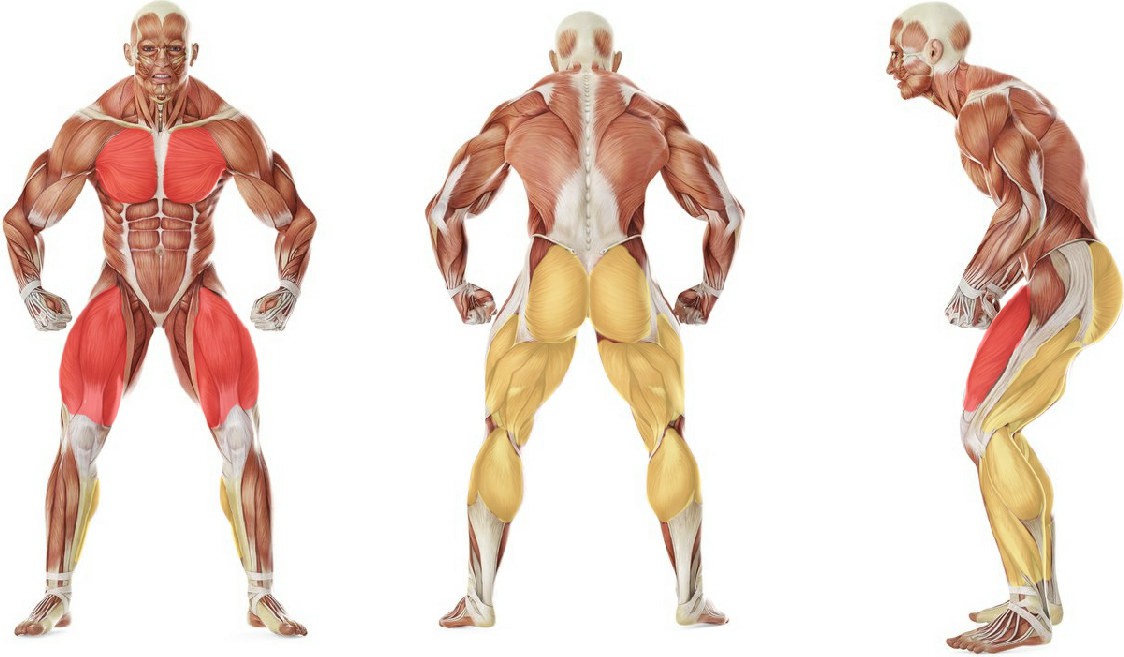 What muscles work in the exercise Эстафета: Бег до препятствия и 10 отжиманий