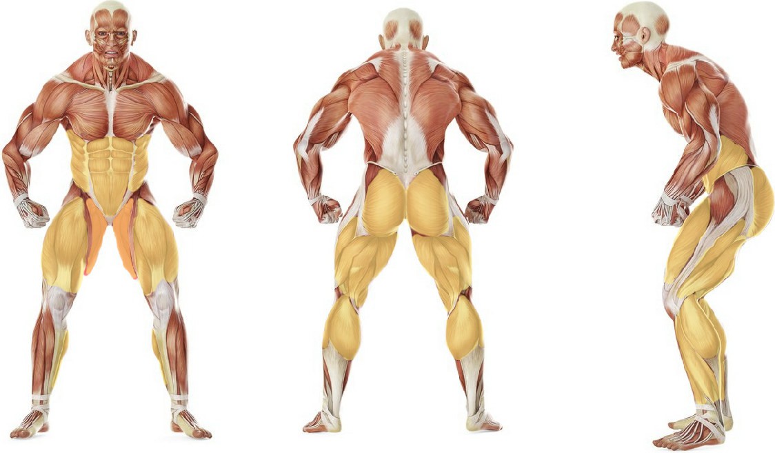 What muscles work in the exercise Carioca Quick Step
