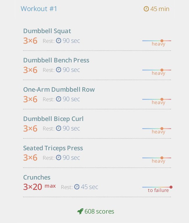 Mass gain program with dumbbells тренировка 1