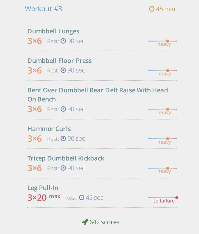 Mass gain program with dumbbells тренировка 3